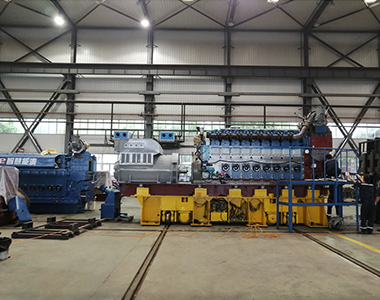 貴州省盤州紅達(dá)瓦斯電站項目配4臺德科6極高壓1550KW/10.5KV