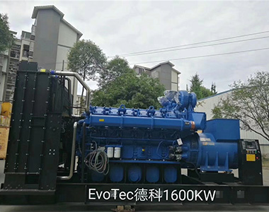 德科1600KW/400V陸用發(fā)電機(jī)應(yīng)用于某工廠項目